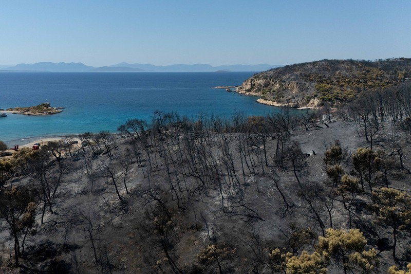 Kondisi area yang hangus terbakar akibat kebakaran hutan di wilayah Peristeria, Pulau Salamina, dekat Athena, Yunani, Senin (17/8/2026). (REUTERS/Stelios Misinas)