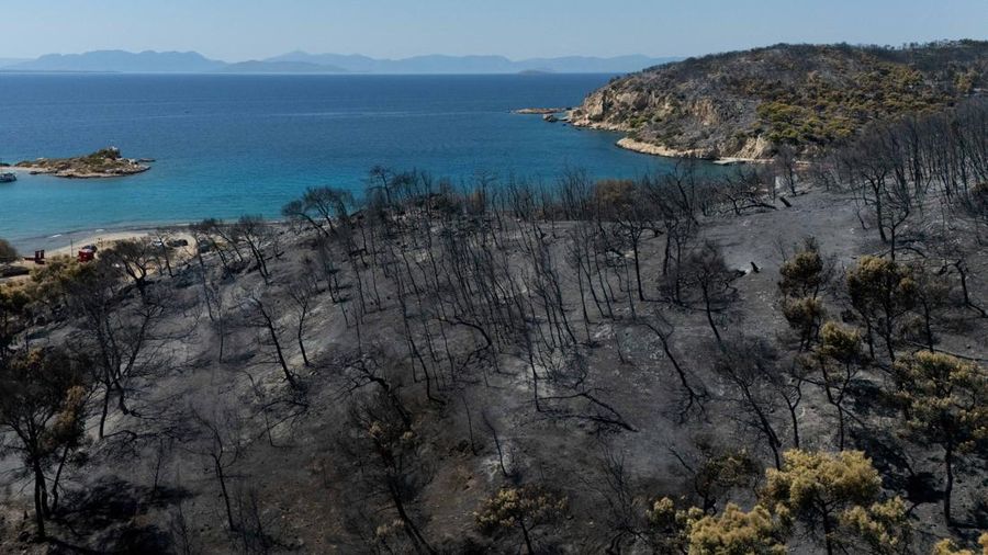Kondisi area yang hangus terbakar akibat kebakaran hutan di wilayah Peristeria, Pulau Salamina, dekat Athena, Yunani, Senin (17/8/2026). (REUTERS/Stelios Misinas)