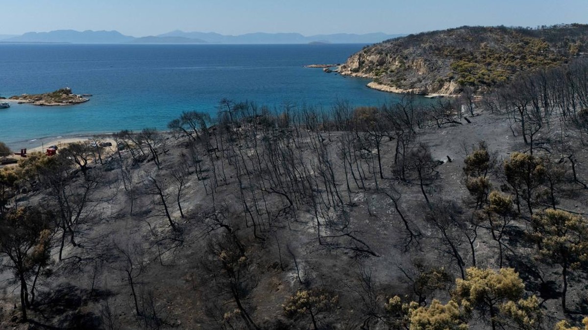Potret Ngeri Satu Pulau Hangus Terbakar: Warga Tewas-Kehancuran Total