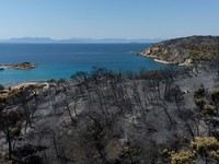 Potret Ngeri Satu Pulau Hangus Terbakar: Warga Tewas-Kehancuran Total