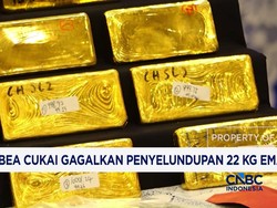 Bea Cukai Gagalkan Penyelundupan 22 Kg Emas