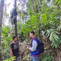 Dok BRI
