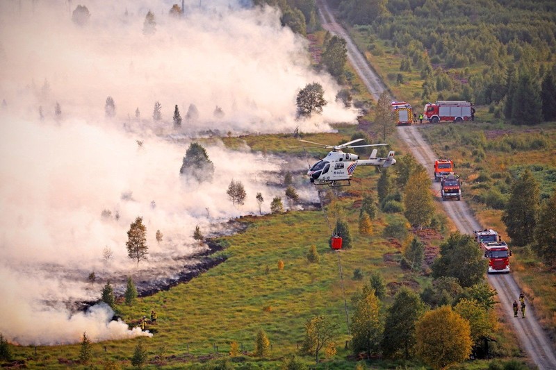 Pesawat Angkata Udara Belgia melakukan pemadaman api yang membakar hutan di wilayah High Fens, Belgia, Senin (17/8/2026). (Polisi Federal Belgia/Handout via REUTERS)