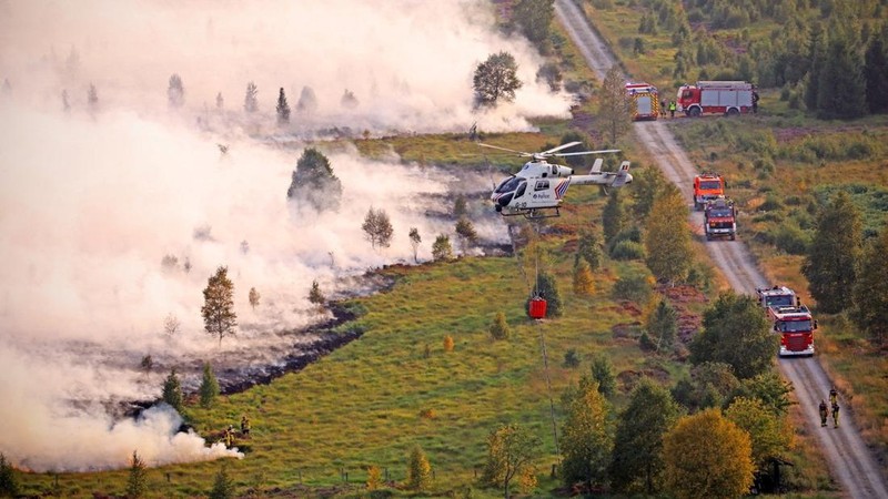Pesawat Angkata Udara Belgia melakukan pemadaman api yang membakar hutan di wilayah High Fens, Belgia, Senin (17/8/2026). (Polisi Federal Belgia/Handout via REUTERS)