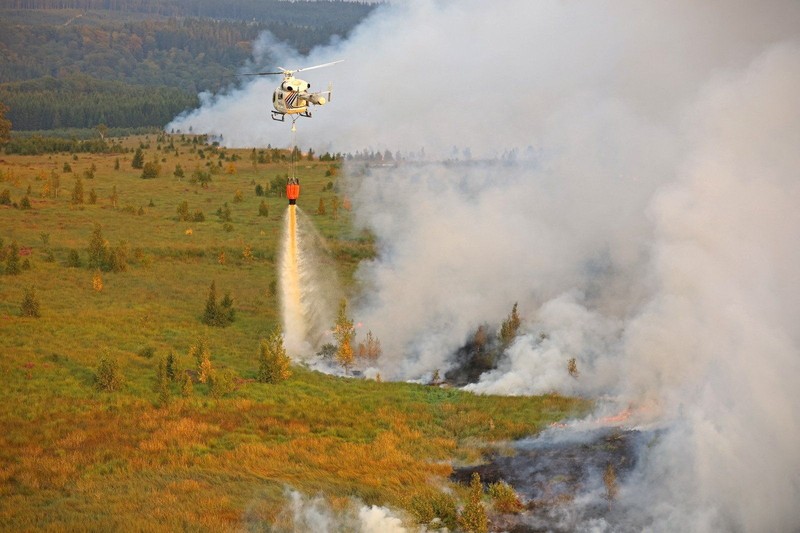 Pesawat Angkata Udara Belgia melakukan pemadaman api yang membakar hutan di wilayah High Fens, Belgia, Senin (17/8/2026). (Polisi Federal Belgia/Handout via REUTERS)