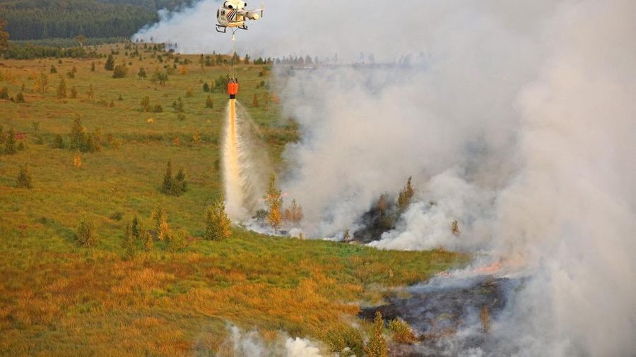 Pesawat Angkata Udara Belgia melakukan pemadaman api yang membakar hutan di wilayah High Fens, Belgia, Senin (17/8/2026). (Polisi Federal Belgia/Handout via REUTERS)