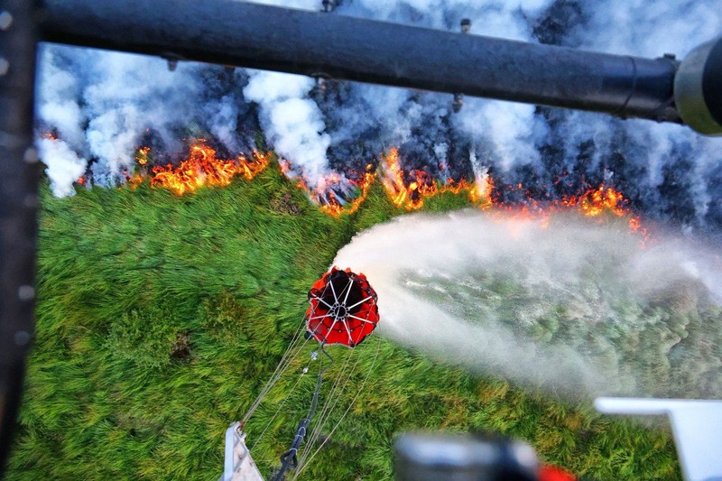 Pesawat Angkata Udara Belgia melakukan pemadaman api yang membakar hutan di wilayah High Fens, Belgia, Senin (17/8/2026). (Polisi Federal Belgia/Handout via REUTERS)