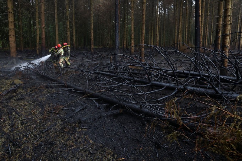 Pesawat Angkata Udara Belgia melakukan pemadaman api yang membakar hutan di wilayah High Fens, Belgia, Senin (17/8/2026). (Polisi Federal Belgia/Handout via REUTERS)