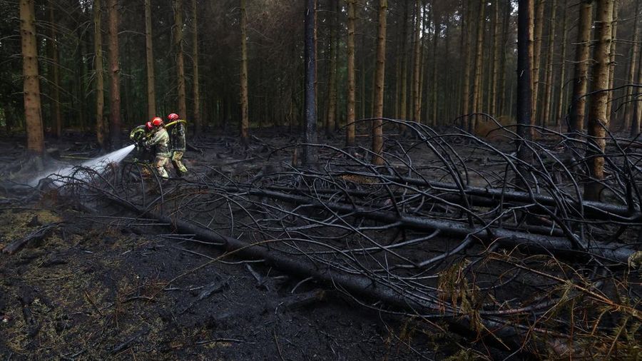 Petugas kebakaran memadamkan api dekat Waimes, di wilayah High Fens (Hautes Fagnes), Belgia, Senin (17/8/2026). (REUTERS/Yves Herman)