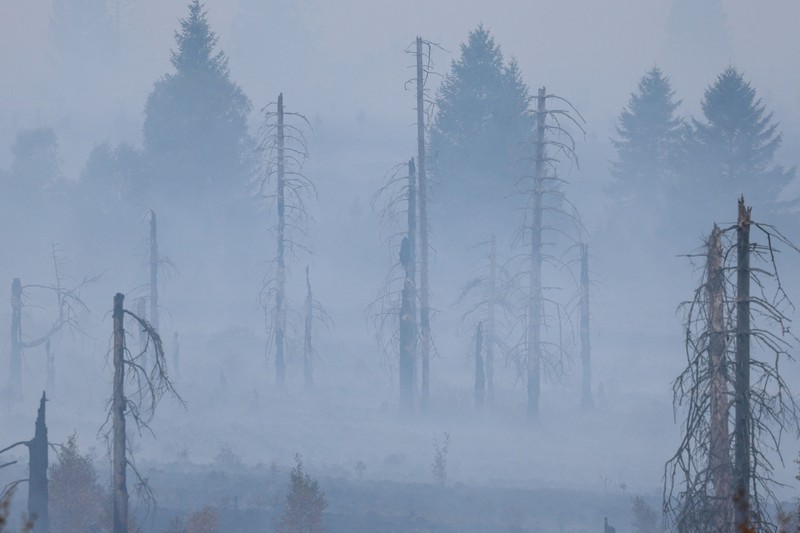 Pesawat Angkata Udara Belgia melakukan pemadaman api yang membakar hutan di wilayah High Fens, Belgia, Senin (17/8/2026). (Polisi Federal Belgia/Handout via REUTERS)