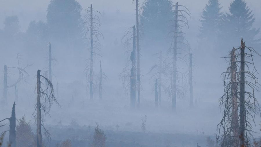 Petugas kebakaran memadamkan api dekat Waimes, di wilayah High Fens (Hautes Fagnes), Belgia, Senin (17/8/2026). (REUTERS/Yves Herman)