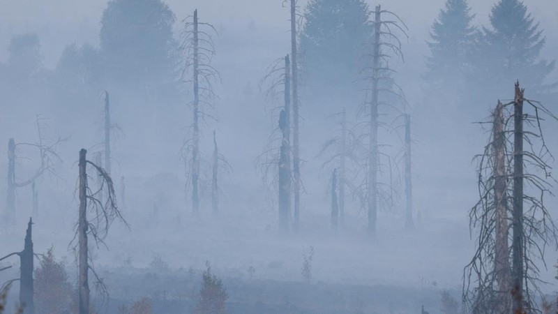 Petugas kebakaran memadamkan api dekat Waimes, di wilayah High Fens (Hautes Fagnes), Belgia, Senin (17/8/2026). (REUTERS/Yves Herman)