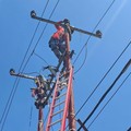 PLN