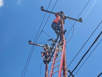 PLN