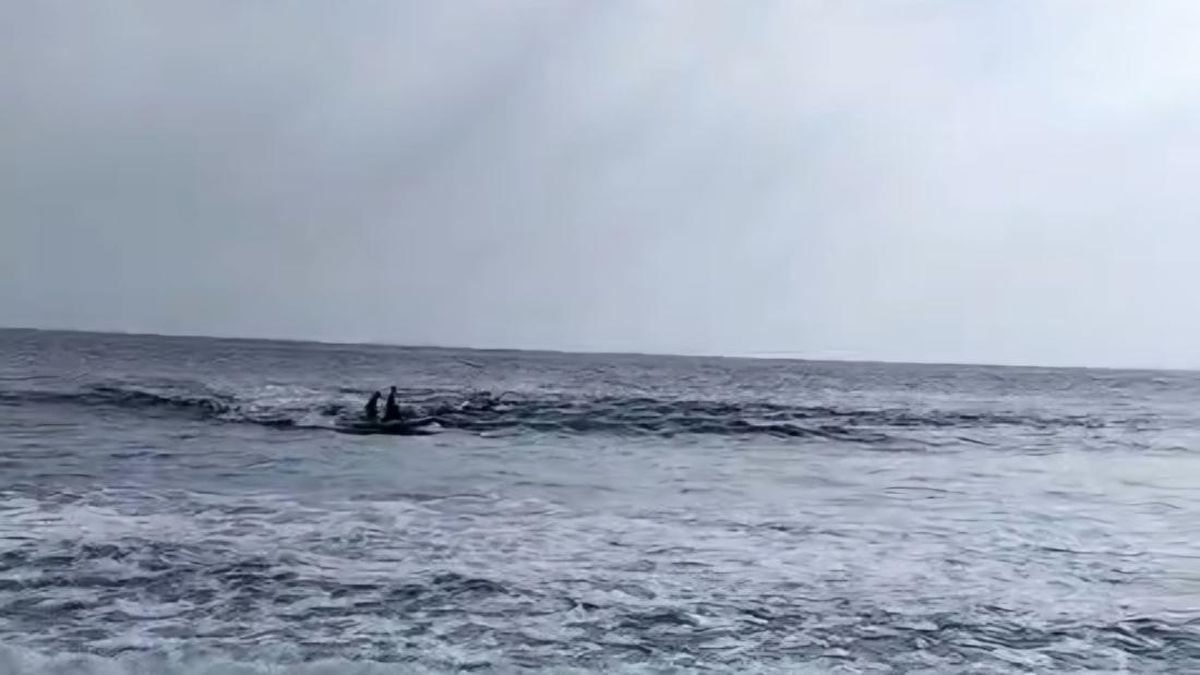 Kembali Makan Korban, Penjagaan Pantai Kerandangan Disorot Dewan