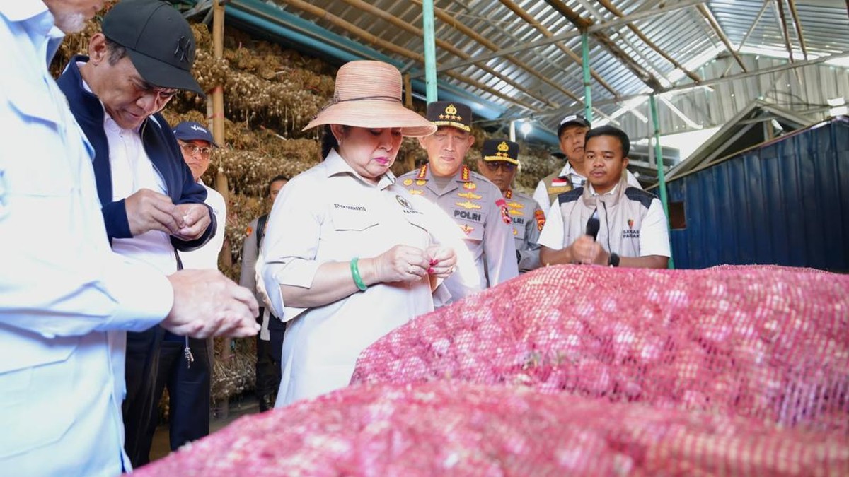 Di Tangan Amran, Kerajaan Bawang Putih RI Mau Bangkit dari Kubur