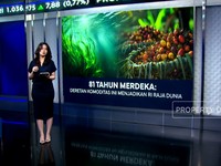 Video: 81 Tahun Merdeka: Deretan Komoditas Ini Menjadikan RI Raja Dunia