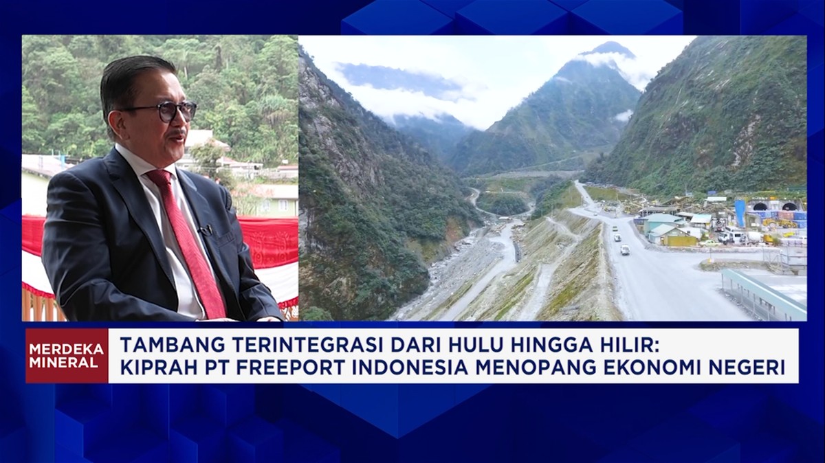 Bukan Cuma Soal Tambang, Begini Kontribusi Freeport ke Ekonomi RI