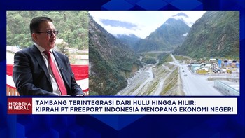 Bocoran Bos Freeport Soal Produksi Smelter dan Refinery & Masa Depan Tambang Freeport Pasca 2041