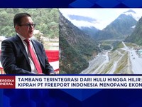 Bocoran Bos Freeport Soal Produksi Smelter dan Refinery & Masa Depan Tambang Freeport Pasca 2041