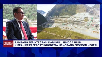 Freeport Targetkan Gali Tambang Kucing Liar, Investasikan RP 72 Triliun