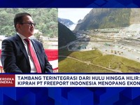 Freeport Targetkan Gali Tambang Kucing Liar, Investasikan RP 72 Triliun