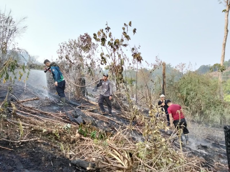Petugas dari tim gabungan berupaya memadamkan api yang membakar lahan di wilayah Kabupaten Penajam Paser Utara, Provinsi Kalimantan Timur, pada Rabu (19/8). (Dok: BPBD Kabupaten Penajam Paser Utara, Kalimantan)