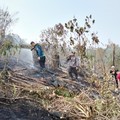 Petugas dari tim gabungan berupaya memadamkan api yang membakar lahan di wilayah Kabupaten Penajam Paser Utara, Provinsi Kalimantan Timur, pada Rabu (19/8). (Dok: BPBD Kabupaten Penajam Paser Utara, Kalimantan)