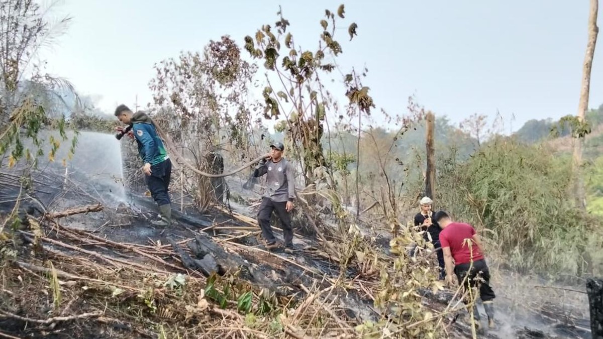 Kapan Hujan Guyur Kalimantan Usai Kebakaran Hebat? Ini Kata BMKG