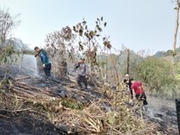 Petugas dari tim gabungan berupaya memadamkan api yang membakar lahan di wilayah Kabupaten Penajam Paser Utara, Provinsi Kalimantan Timur, pada Rabu (19/8). (Dok: BPBD Kabupaten Penajam Paser Utara, Kalimantan)