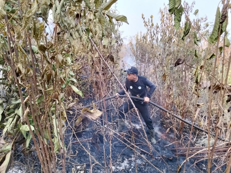 Petugas dari tim gabungan berupaya memadamkan api yang membakar lahan di wilayah Kabupaten Penajam Paser Utara, Provinsi Kalimantan Timur, pada Rabu (19/8). (Dok: BPBD Kabupaten Penajam Paser Utara, Kalimantan)