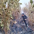 Petugas dari tim gabungan berupaya memadamkan api yang membakar lahan di wilayah Kabupaten Penajam Paser Utara, Provinsi Kalimantan Timur, pada Rabu (19/8). (Dok: BPBD Kabupaten Penajam Paser Utara, Kalimantan)