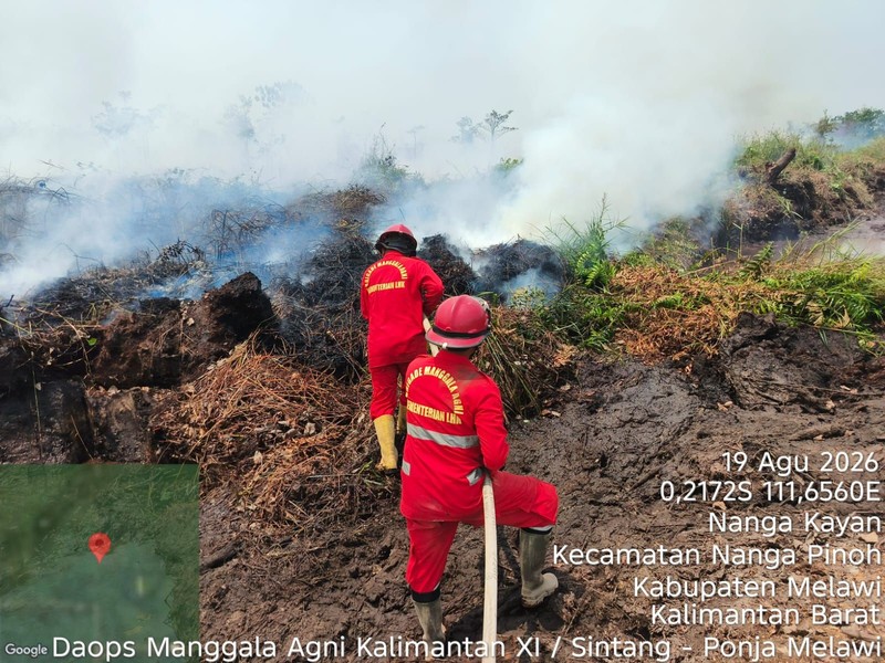 Petugas dari tim gabungan berupaya memadamkan api yang membakar lahan di wilayah Kabupaten Penajam Paser Utara, Provinsi Kalimantan Timur, pada Rabu (19/8). (Dok: BPBD Kabupaten Penajam Paser Utara, Kalimantan)