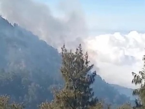 Kebakaran Arjuno-Welirang Merembat ke Gunung Kembar