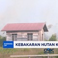 Kebakaran Hutan Kepung Kalimantan