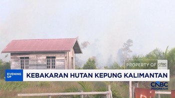 Kebakaran Hutan Kepung Kalimantan