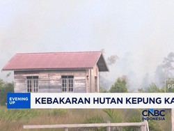 Kebakaran Hutan Kepung Kalimantan