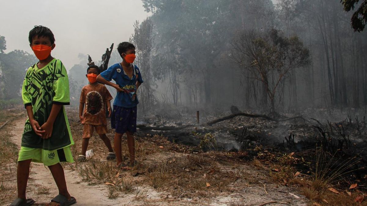 Darurat Karhutla! Ini Dampak Mengerikan Asap Kebakaran Hutan bagi Anak-anak