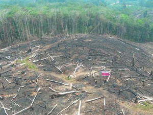 Anggota DPRD Kalbar Desak TMC Atasi Kabut Asap: Jangan Salahkan Peladang!