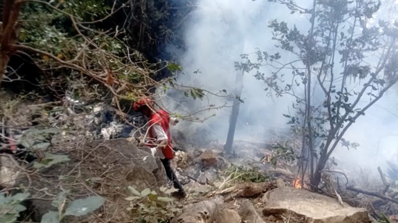 Otoritas Penerbangan Sipil Kenya mengatakan helikopter Eurocopter EC130 B4, nomor registrasi 5Y-GYM dan dioperasikan oleh Lady Lori Kenya Ltd, jatuh sekitar pukul 9:13 waktu setempat saat terbang dari Cagar Alam Loisaba ke daerah Ewasonyiro, distrik