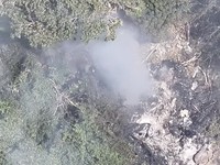 Otoritas Penerbangan Sipil Kenya mengatakan helikopter Eurocopter EC130 B4, nomor registrasi 5Y-GYM dan dioperasikan oleh Lady Lori Kenya Ltd, jatuh sekitar pukul 9:13 waktu setempat saat terbang dari Cagar Alam Loisaba ke daerah Ewasonyiro, distrik