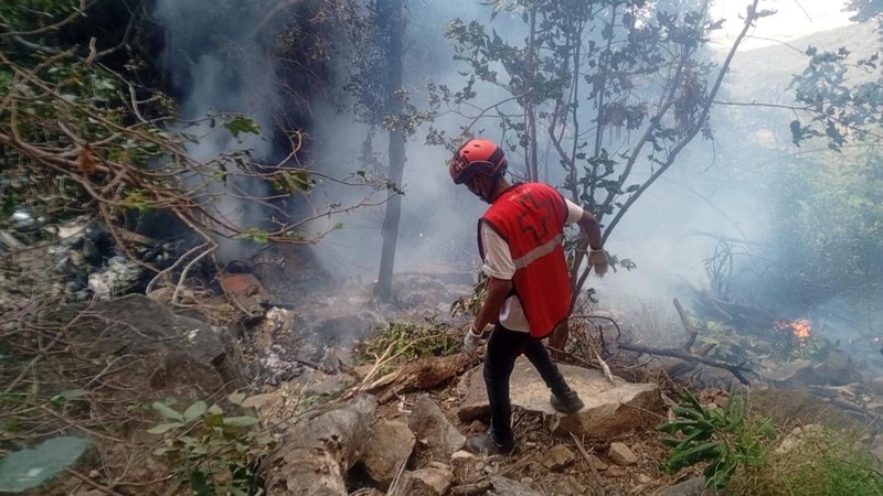 Otoritas Penerbangan Sipil Kenya mengatakan helikopter Eurocopter EC130 B4, nomor registrasi 5Y-GYM dan dioperasikan oleh Lady Lori Kenya Ltd, jatuh sekitar pukul 9:13 waktu setempat saat terbang dari Cagar Alam Loisaba ke daerah Ewasonyiro, distrik