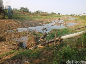 Sungai Silugonggo Asat, Ribuan Hektare Sawah di Pati Terancam Gagal Panen