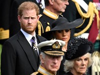 Profil harry Meghan. (REUTERS/Toby Melville)