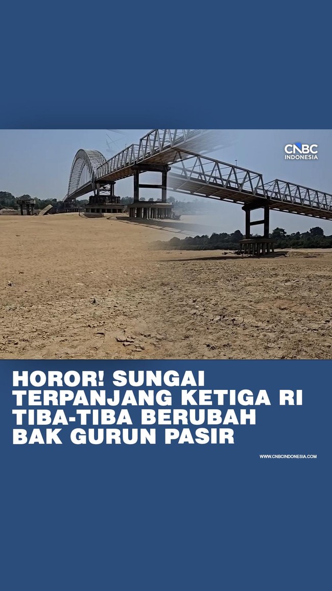 Debit Sungai Barito di Kabupaten Barito Selatan, Kalimantan Tengah, menyusut