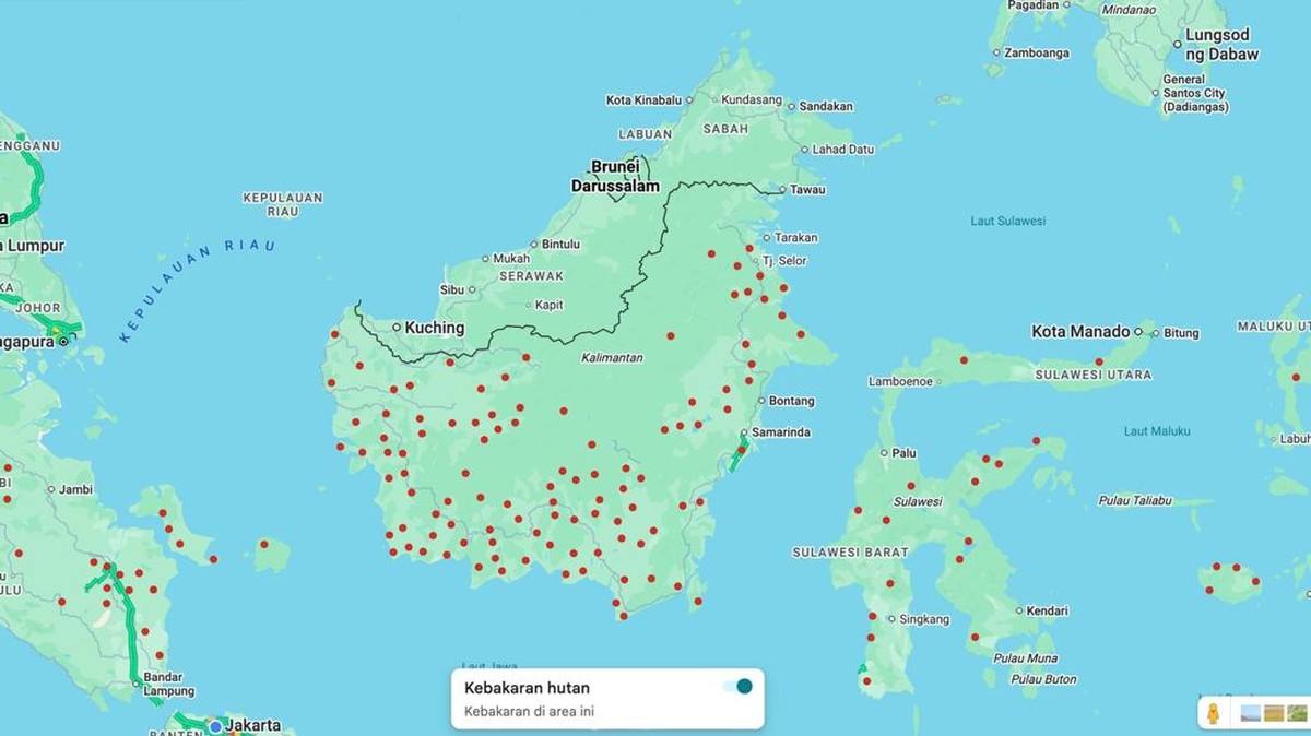 3 Cara Cek Kebakaran Hutan Secara Online, Bisa Pakai Google Maps