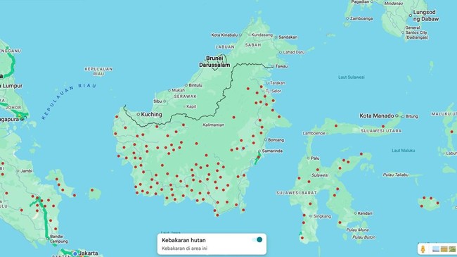 3 Cara Cek Kebakaran Hutan Secara Online, Bisa Pakai Google Maps