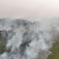 BPBD bersama tim gabungan berusaha memadamkan karhutla di Kabupaten Bulungan, Provinsi Kalimantan Utara, Selasa (18/8/2026). (Dok. BPBD Kabupaten Bulungan)