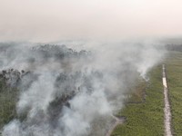 BPBD bersama tim gabungan berusaha memadamkan karhutla di Kabupaten Bulungan, Provinsi Kalimantan Utara, Selasa (18/8/2026). (Dok. BPBD Kabupaten Bulungan)