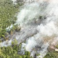 BPBD bersama tim gabungan berusaha memadamkan karhutla di Kabupaten Bulungan, Provinsi Kalimantan Utara, Selasa (18/8/2026). (Dok. BPBD Kabupaten Bulungan)
